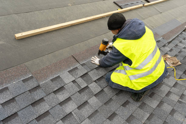 Best Roof Gutter Cleaning  in Dyer, IN