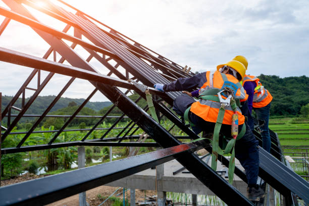 Best Metal Roofing Contractor  in Dyer, IN